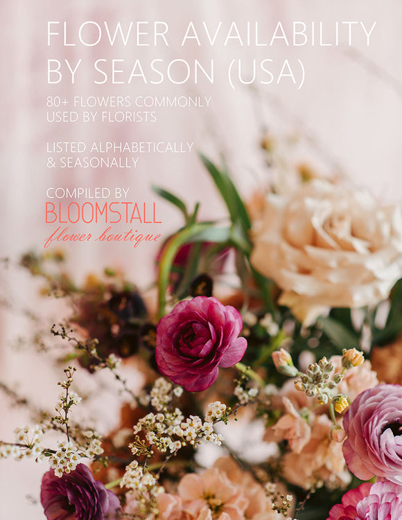 Flower availability by season in the United States.  A florist resource workbook by Bloomstall Flower Boutique