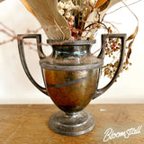 Wild, dried flower and foliage arrangement in Antique Metal Urn - Small