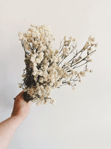 Dried Achillea/ Angel Breath bunch