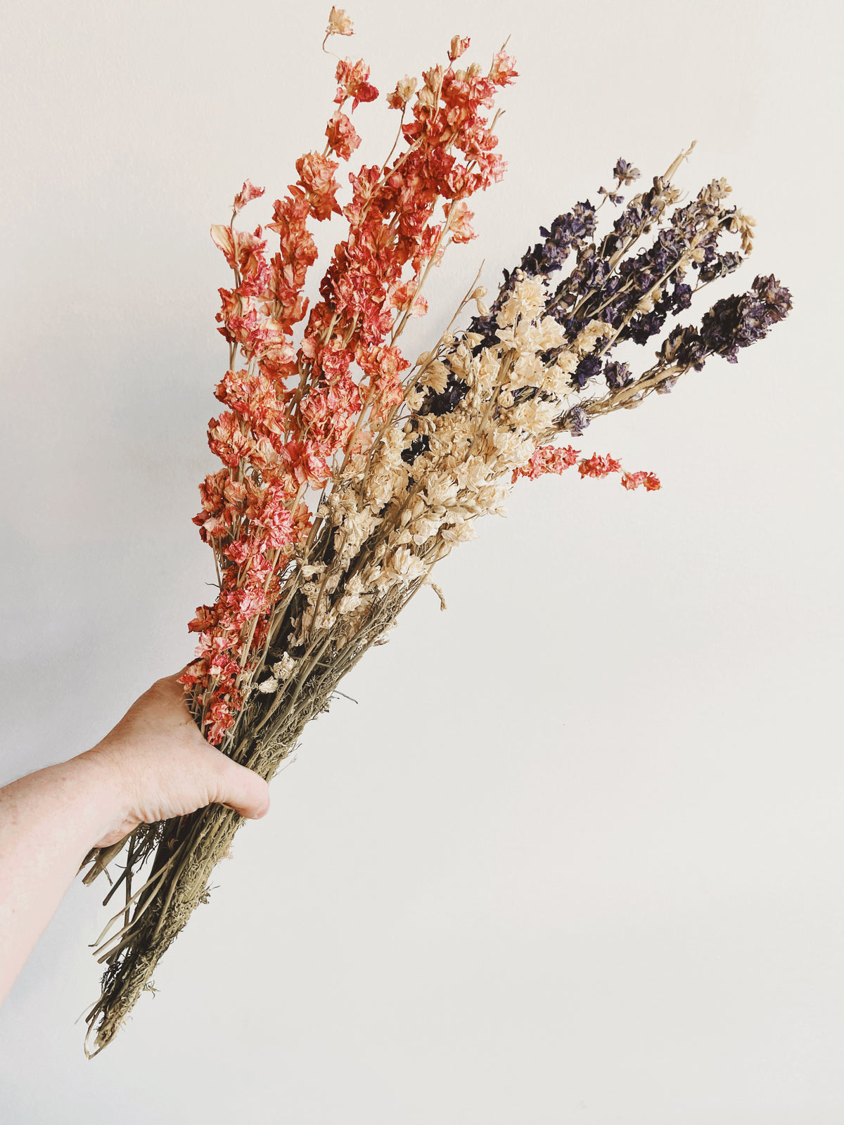 Larkspur Dried Flower