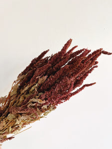 Dried Amaranthus Bunch